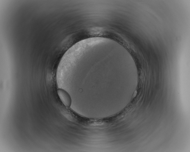 X0000115090601200911241215