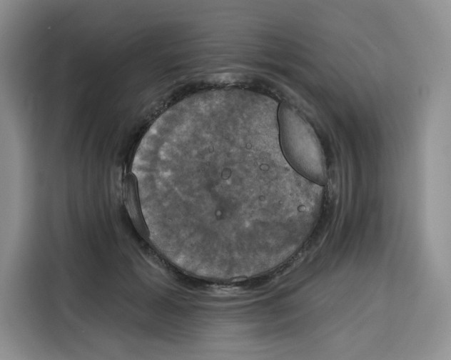 X0000115090605200911241215