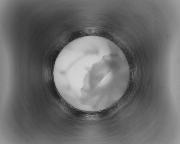 X0000115090606200911241215