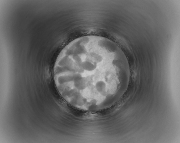 X0000115090607200911241215