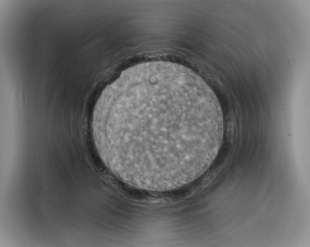 X0000115090608200911241215