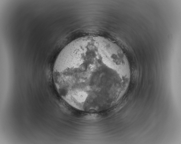 X0000115090609200911241215