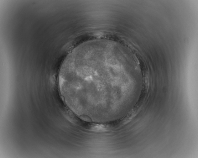 X0000115090611200911241215