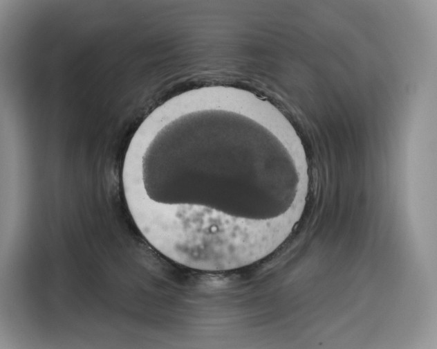 X0000115090613200911241215