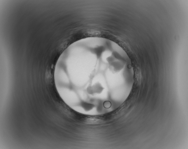 X0000115090614200911241215