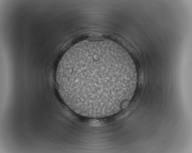 X0000115090616200911241215