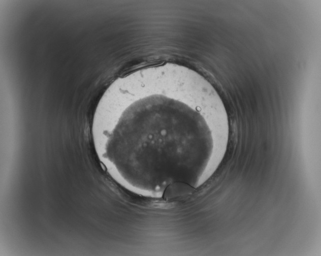 X0000115090617200911241215
