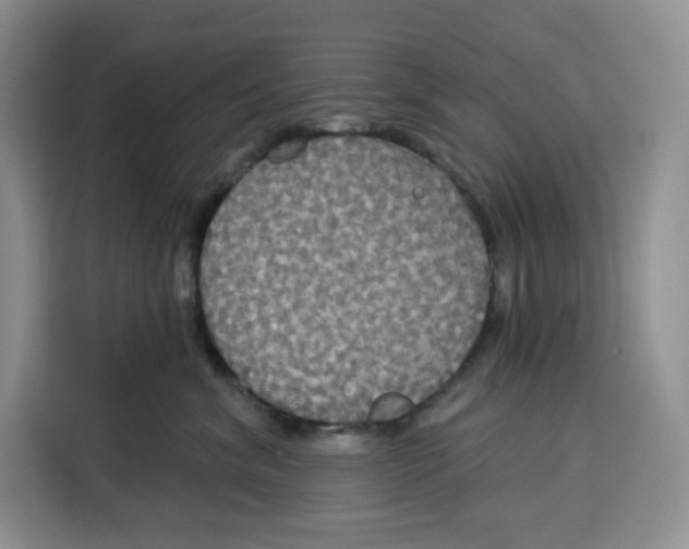 X0000115090620200911241214