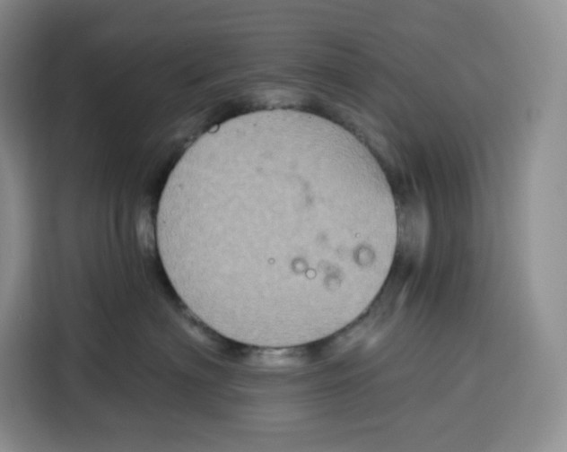 X0000115090622200911241214