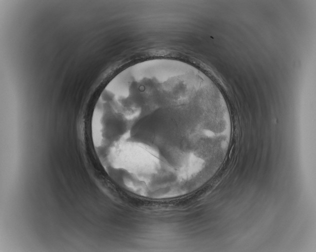 X0000115090626200911241214