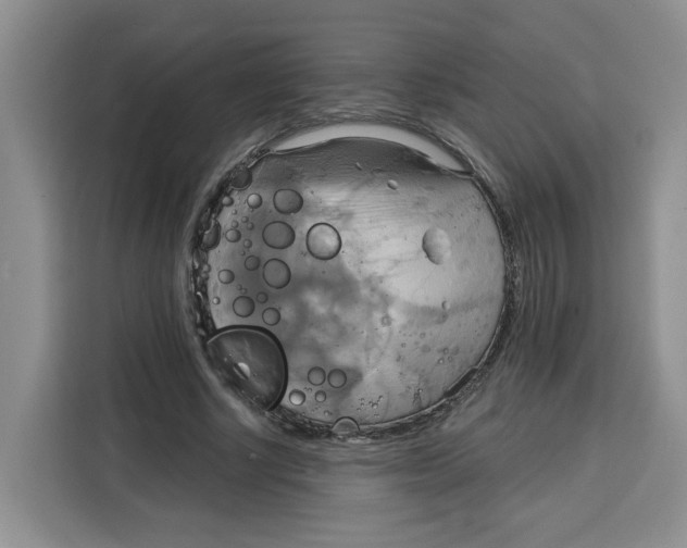 X0000115090634200911241214