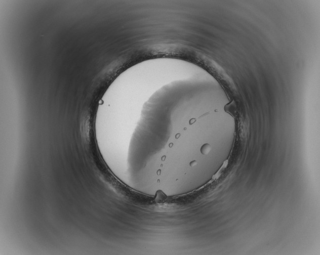 X0000115090637200911241214