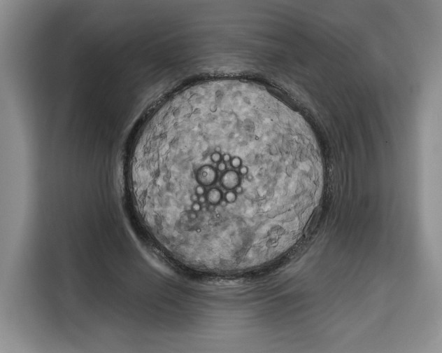 X0000115090638200911241214