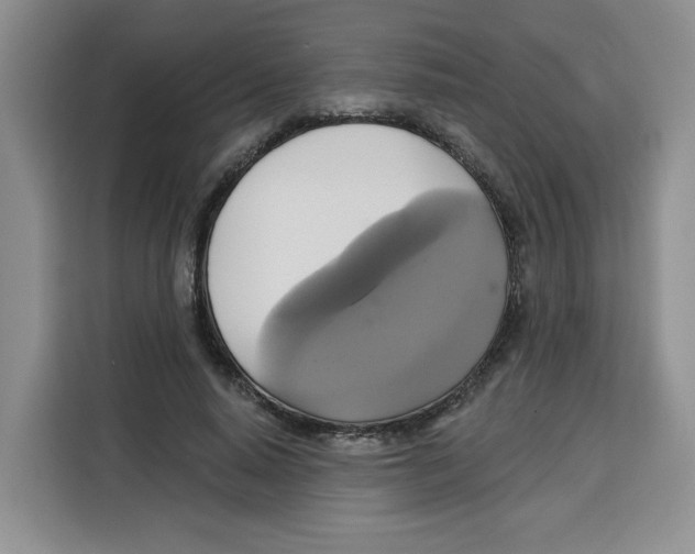 X0000115090640200911241214