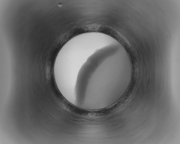 X0000115090641200911241214
