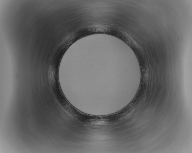 X0000115090643200911241214