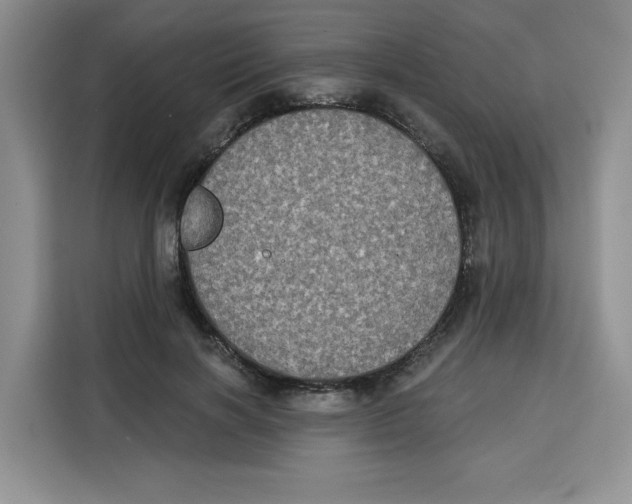 X0000115090646200911241214