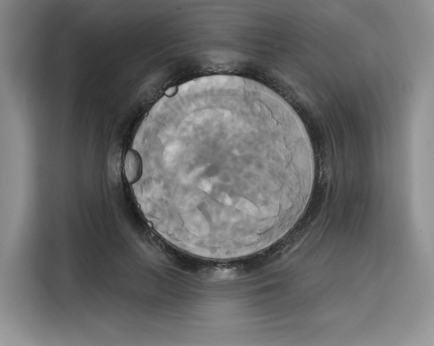X0000115090647200911241214