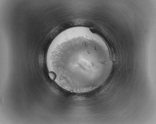 X0000115090648200911241214