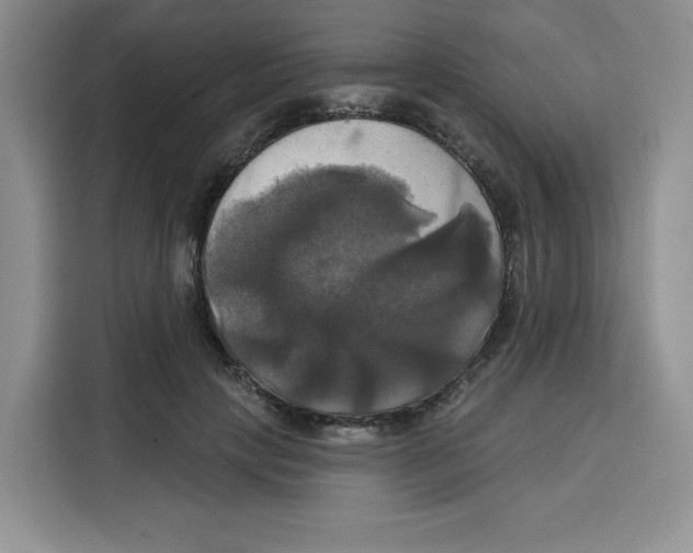 X0000115090649200911241214