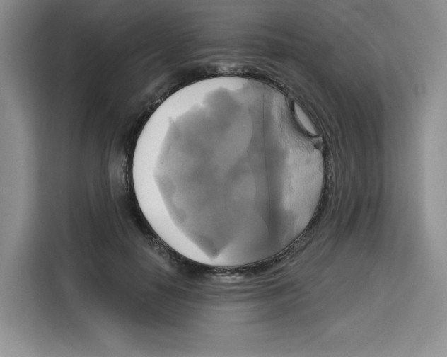 X0000115090650200911241214