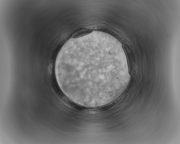 X0000115090652200911241214