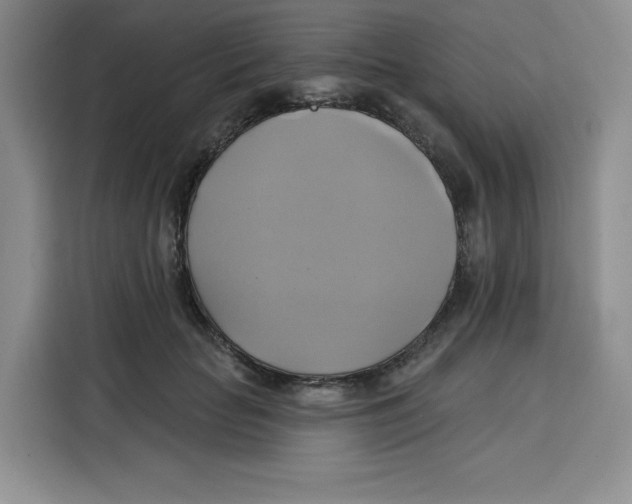 X0000115090653200911241214