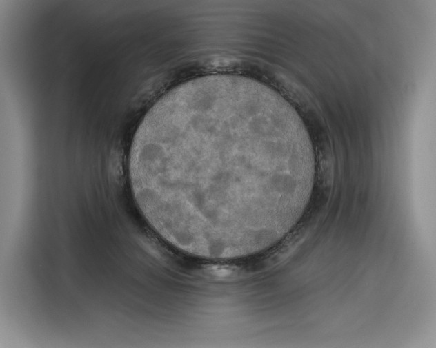 X0000115090654200911241214