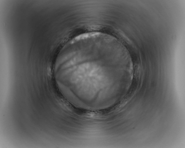 X0000115090655200911241214
