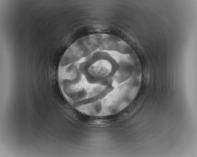 X0000115090657200911241214