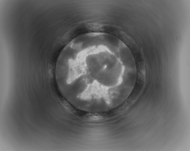 X0000115090658200911241214