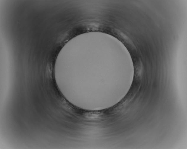 X0000115090661200911241214