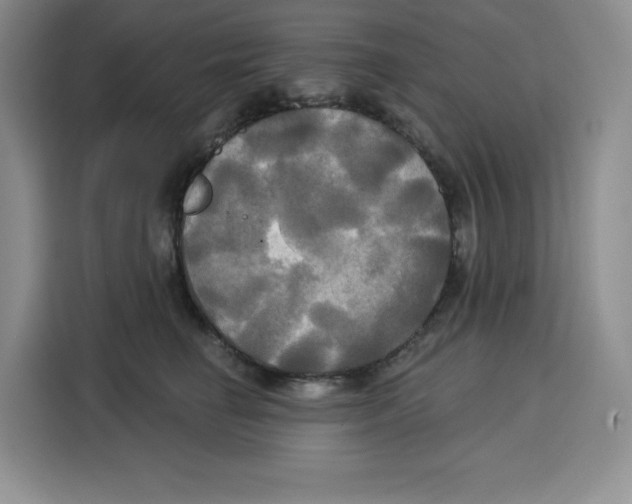 X0000115090662200911241214