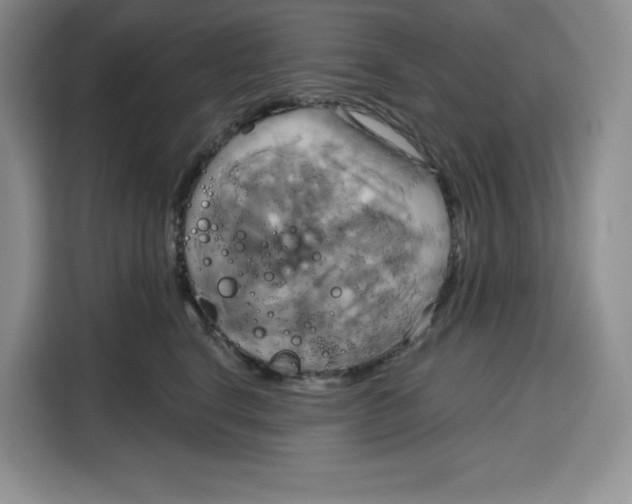 X0000115090664200911241214