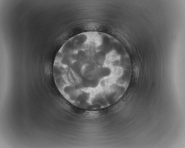 X0000115090665200911241214