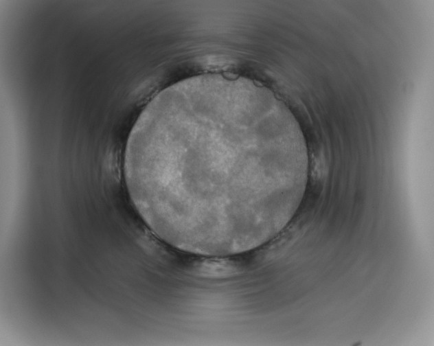 X0000115090666200911241214