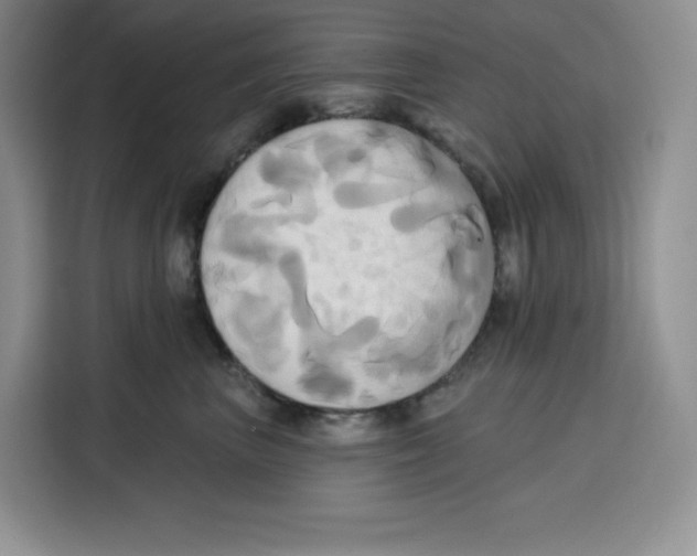 X0000115090667200911241214