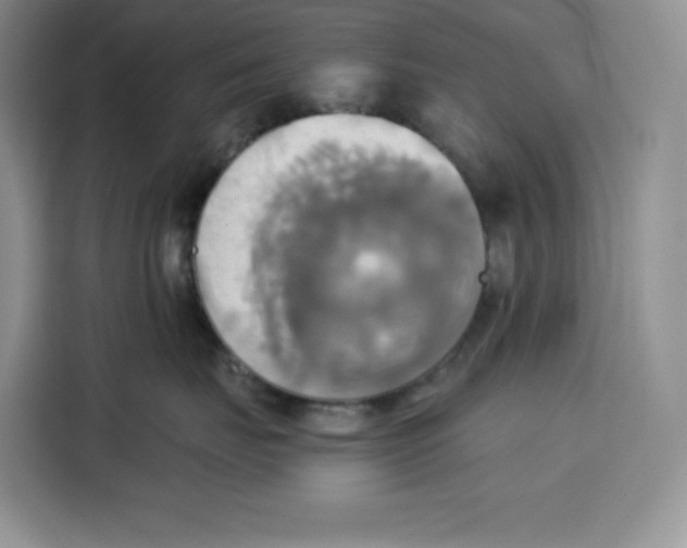 X0000115090671200911241214