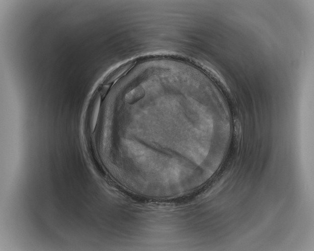 X0000115090676200911241214