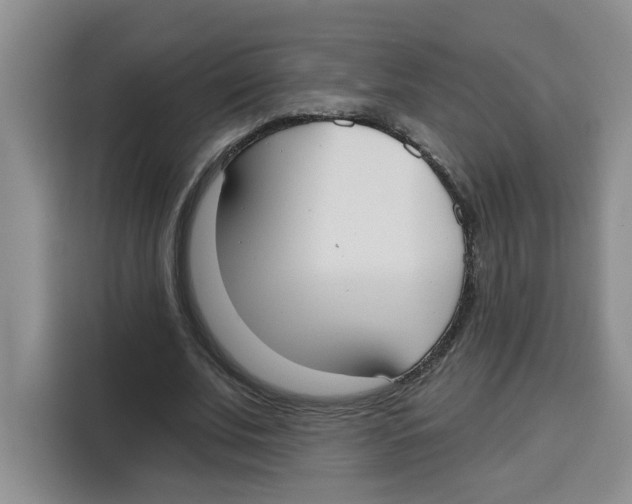 X0000115090679200911241214