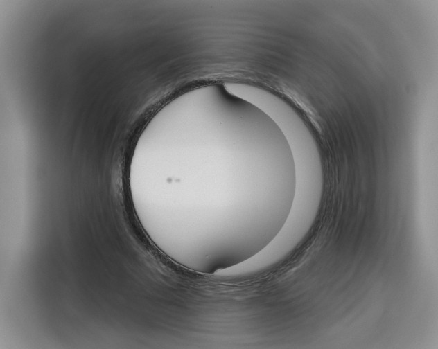 X0000115090681200911241214