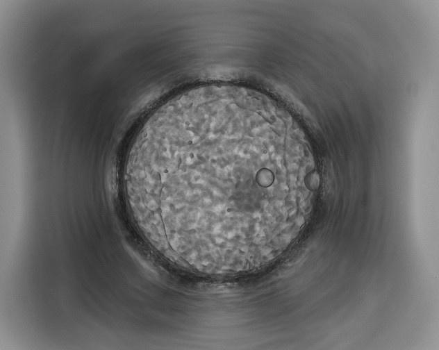 X0000115090683200911241214