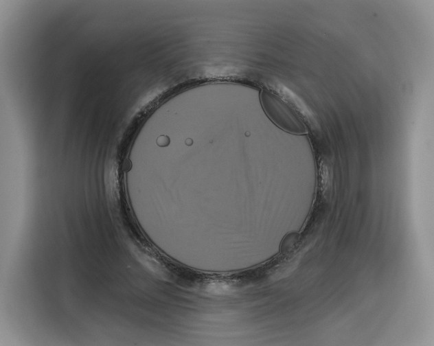 X0000115090684200911241214