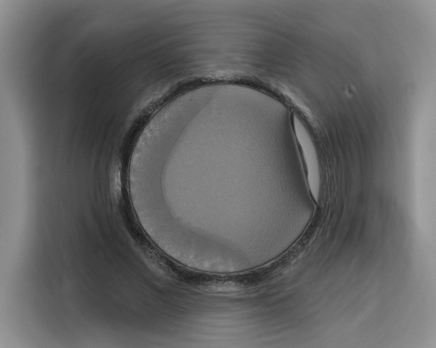 X0000115090685200911241214