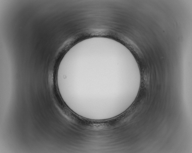 X0000115090686200911241214