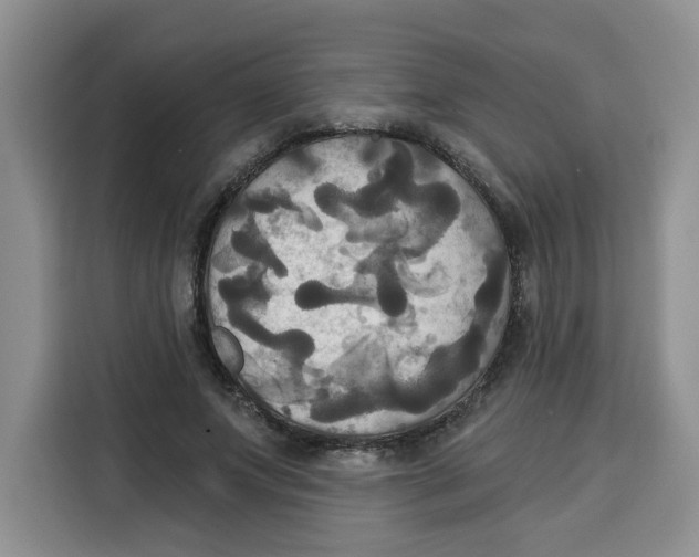 X0000115090687200911241214