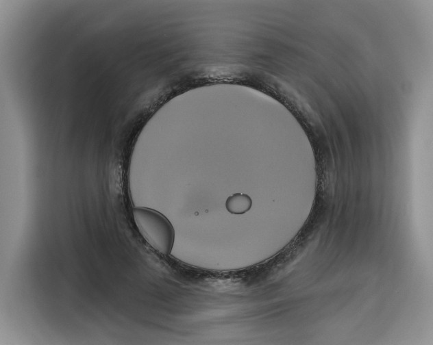 X0000115090689200911241214