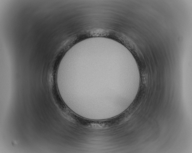 X0000115090690200911241214