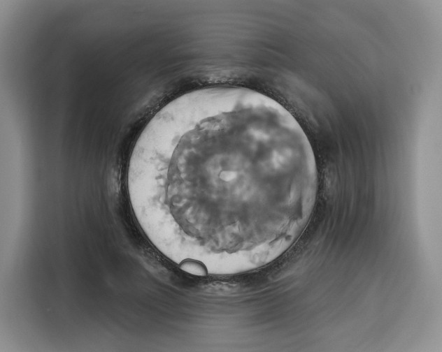 X0000115090691200911241214