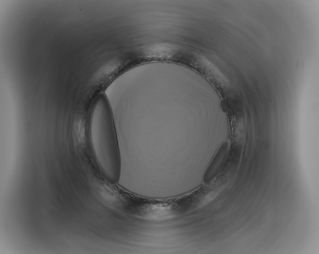 X0000115090692200911241214